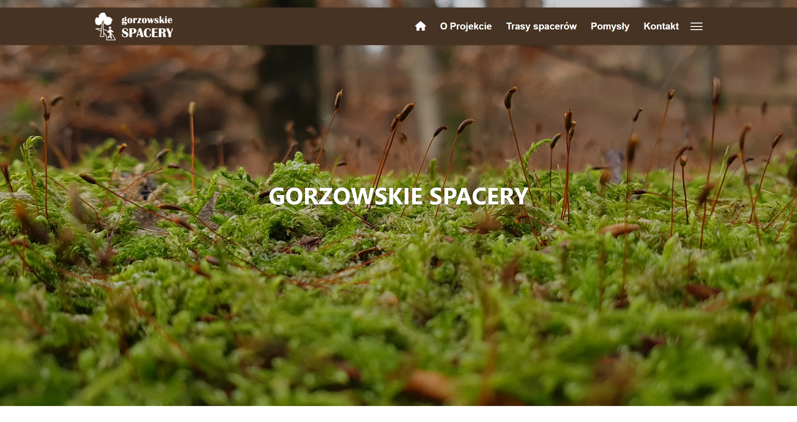 Strona Gorzowskie Spacery z fotografią mchu i leśnej roślinności